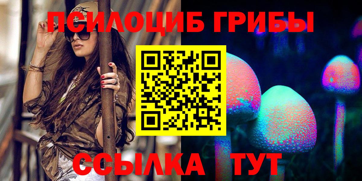 Клин  Псилоцибиновые грибы Psilocybe  Вход с VPN 
